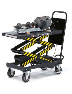 Chariot à plateforme élévatrice 300 kg 2