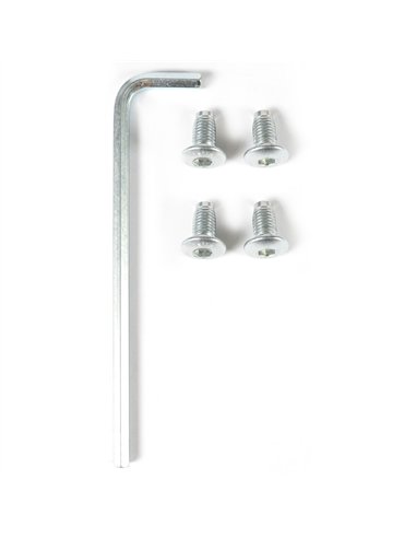 Sachet de quatre vis