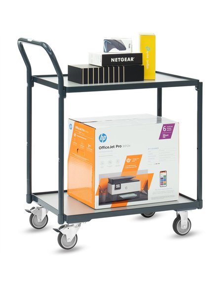 Servante 200 kg, 2 plateaux avec barres de poussée